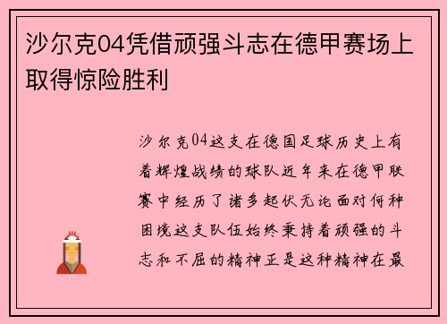 沙尔克04凭借顽强斗志在德甲赛场上取得惊险胜利