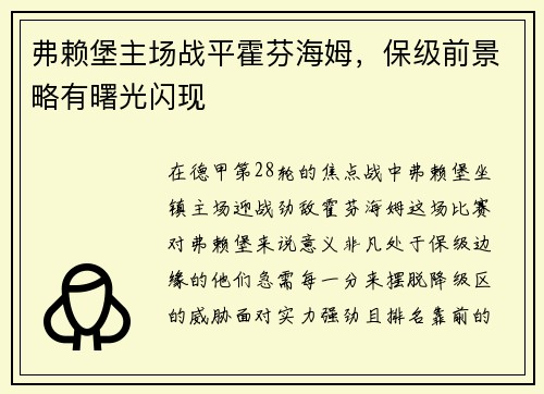 弗赖堡主场战平霍芬海姆，保级前景略有曙光闪现