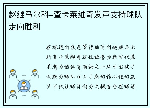 赵继马尔科-查卡莱维奇发声支持球队走向胜利